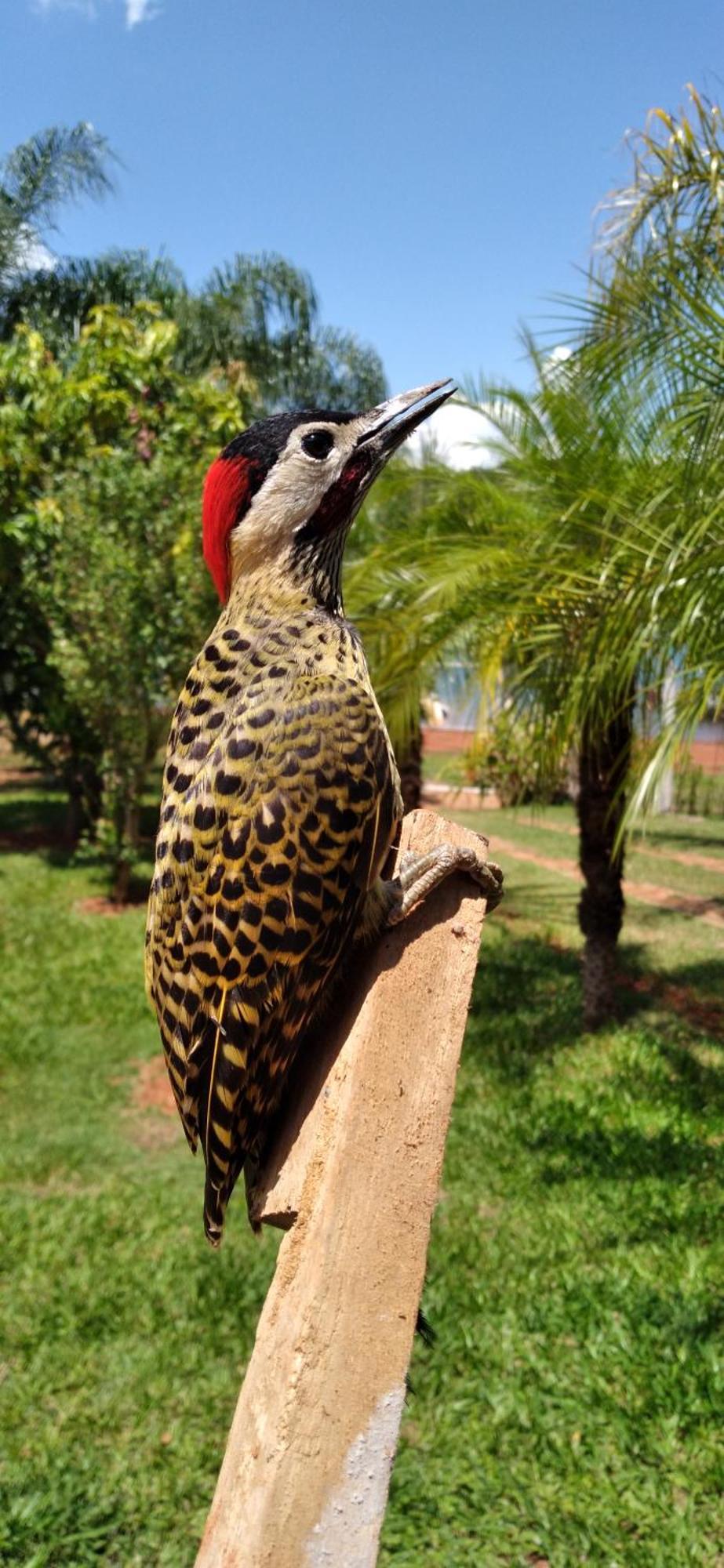 Pousada Estancia Mineira Guapé 외부 사진